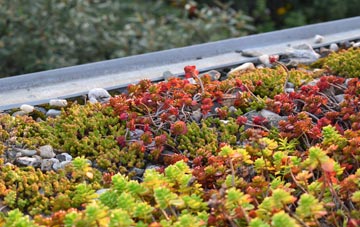 the cost of Broadhembury green roof installation