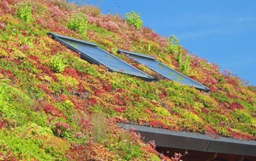 Broadhembury living roof systems